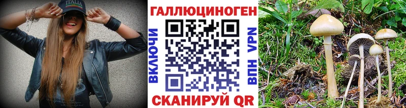 Галлюциногенные грибы Magic Shrooms  Чебоксары 